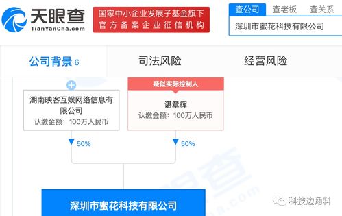映客布局技術領域，成立深圳蜜花科技公司持股50%提供信息系統集成服務